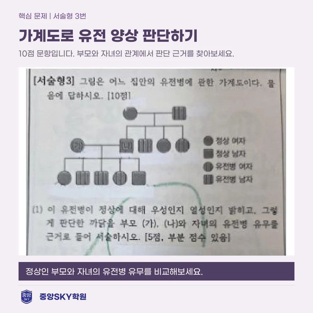 소선여중 과학 2026년 3학년 2학기 중간고사 분석
